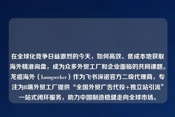 在全球化竞争日益激烈的今天，如何高效、低成本地获取海外精准询盘，成为众多外贸工厂和企业面临的共同课题。龙禧海外（Loongseeker）作为飞书深诺官方二级代理商，专注为B端外贸工厂提供“全国外贸广告代投+独立站引流”一站式闭环服务，助力中国制造稳健走向全球市场。