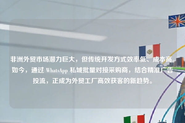 非洲外贸市场潜力巨大，但传统开发方式效率低、成本高。如今，通过 WhatsApp 私域批量对接采购商，结合精准广告投流，正成为外贸工厂高效获客的新趋势。
