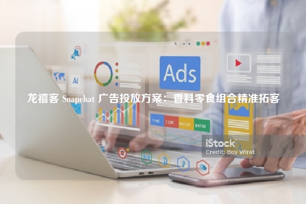 龙禧客 Snapchat 广告投放方案:香料零食组合精准拓客