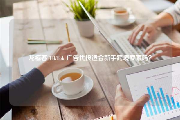 龙禧客 TikTok 广告代投适合新手跨境卖家吗？