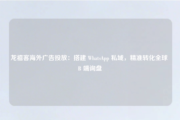 龙禧客海外广告投放：搭建 WhatsApp 私域，精准转化全球 B 端询盘