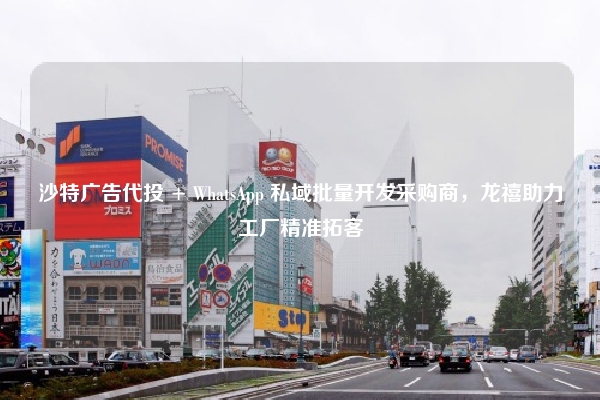 沙特广告代投 + WhatsApp 私域批量开发采购商，龙禧助力工厂精准拓客
