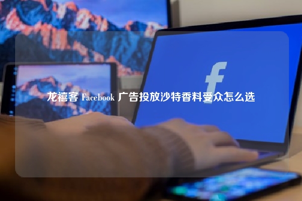 龙禧客 Facebook 广告投放沙特香料受众怎么选