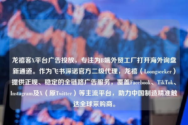 龙禧客X平台广告投放，专注为B端外贸工厂打开海外询盘新通道。作为飞书深诺官方二级代理，龙禧（Loongseeker）提供正规、稳定的全链路广告服务，覆盖Facebook、TikTok、Instagram及X（原Twitter）等主流平台，助力中国制造精准触达全球采购商。