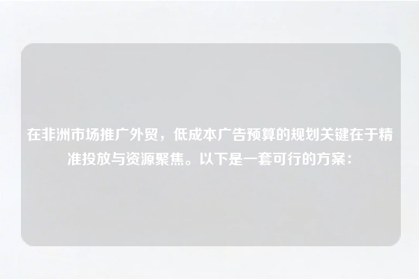 在非洲市场推广外贸，低成本广告预算的规划关键在于精准投放与资源聚焦。以下是一套可行的方案：