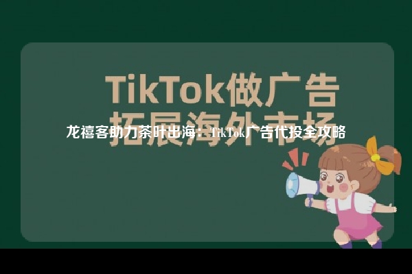 龙禧客助力茶叶出海：TikTok广告代投全攻略