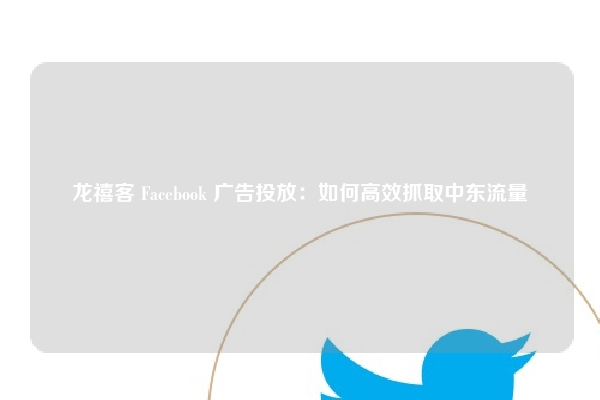 龙禧客 Facebook 广告投放：如何高效抓取中东流量