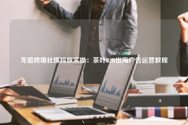 龙禧跨境社媒投放实操：茶叶B2B出海广告运营教程